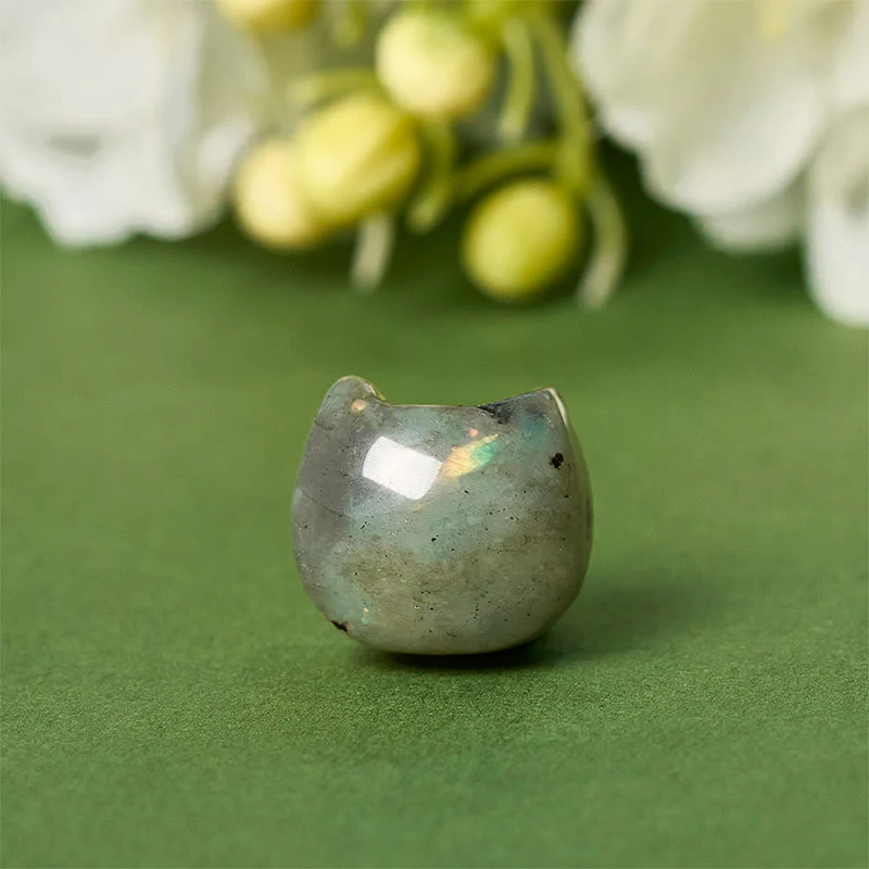 Miniatura 9