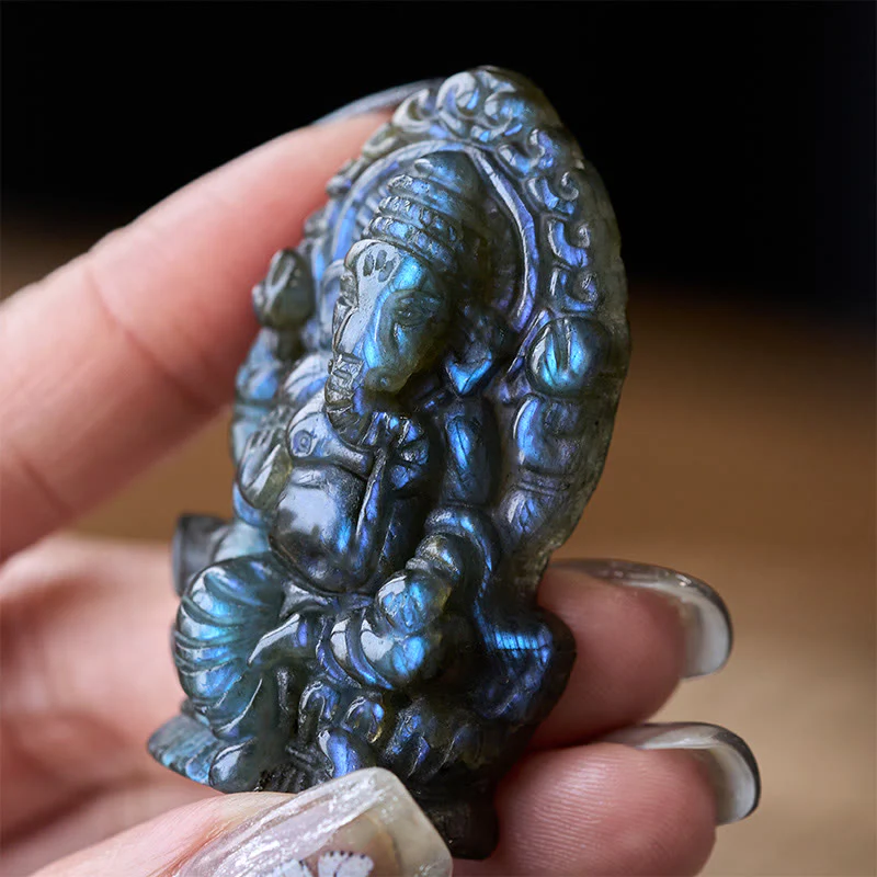 Miniatura 6