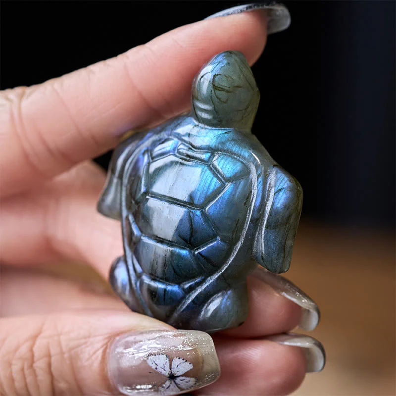 Miniatura 1