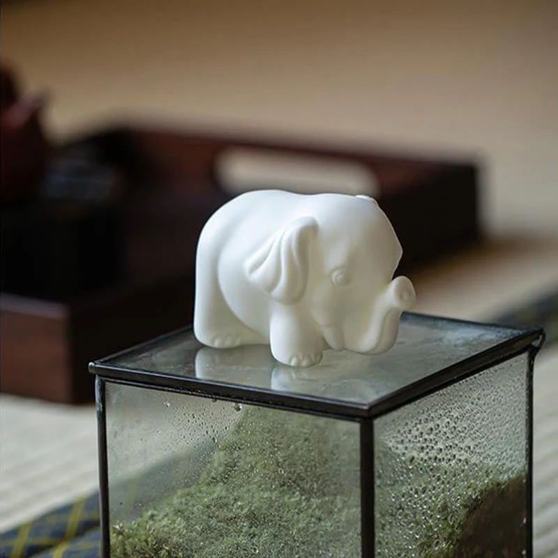 Miniatura 6