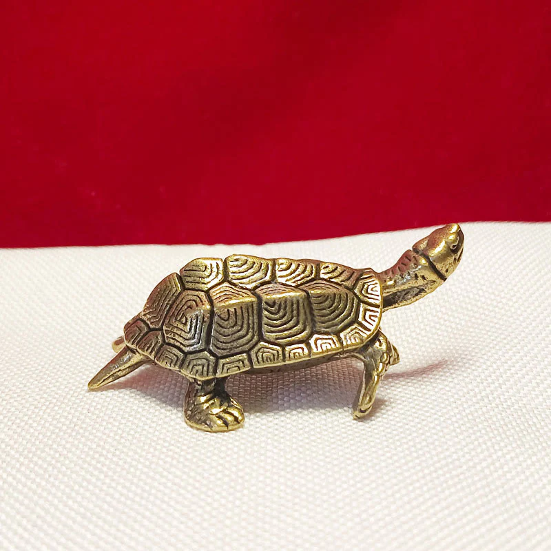 Miniatura 13