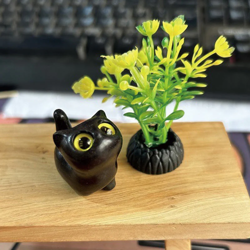 Miniatura 9