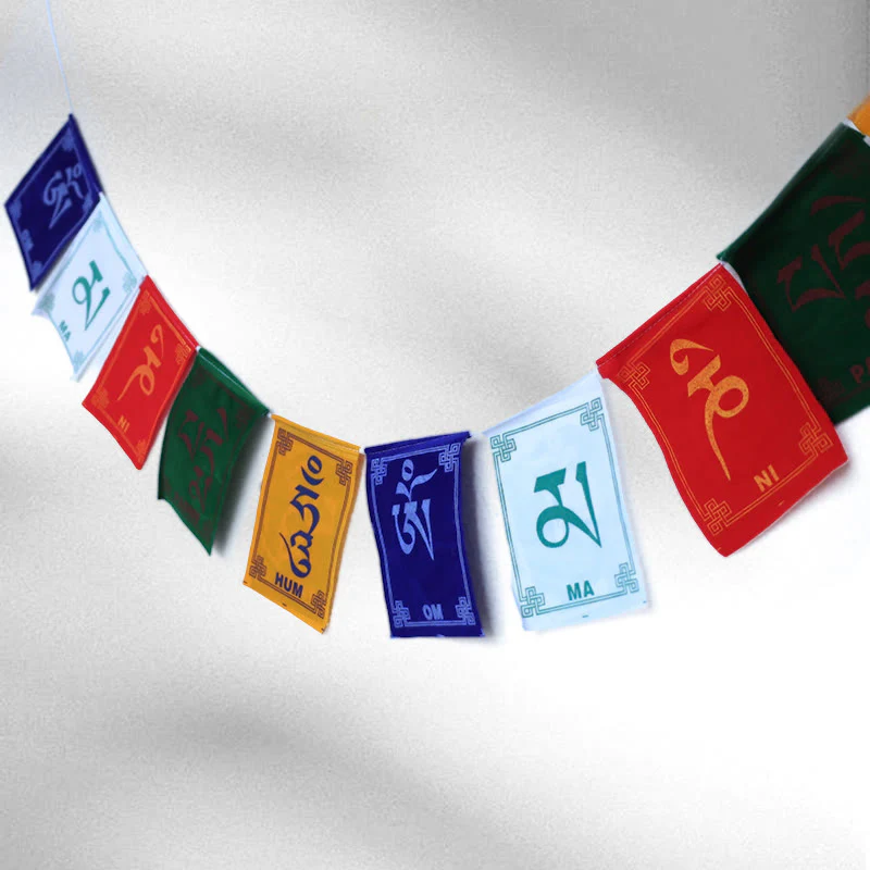 Miniatura 9