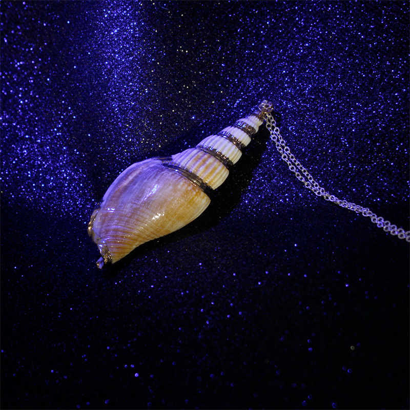 Miniatura 13