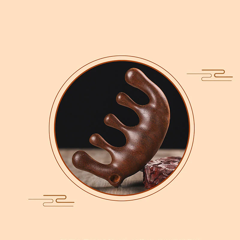 Miniatura 13